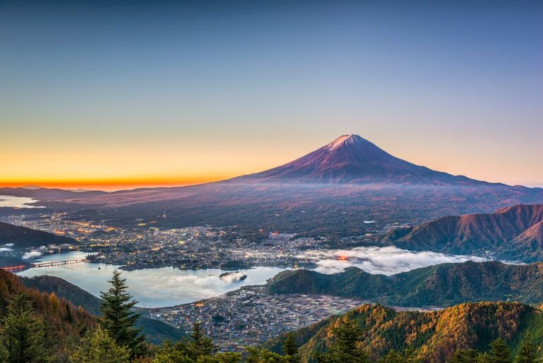 From Tokyo: Mt. Fuji or Hakone Private Sightseeing Day Trip