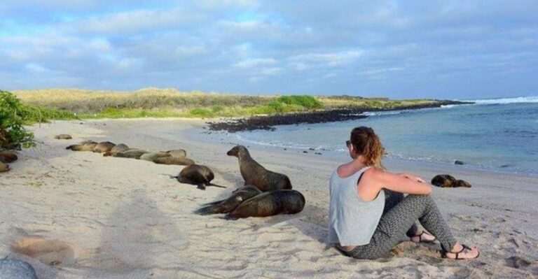 Full Day Leon Dormido and Lobos Island Tour