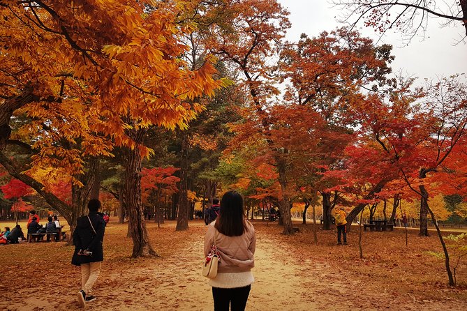 [ Full Day ] Nami Island & Petit France From Seoul - Tour Highlights and Inclusions