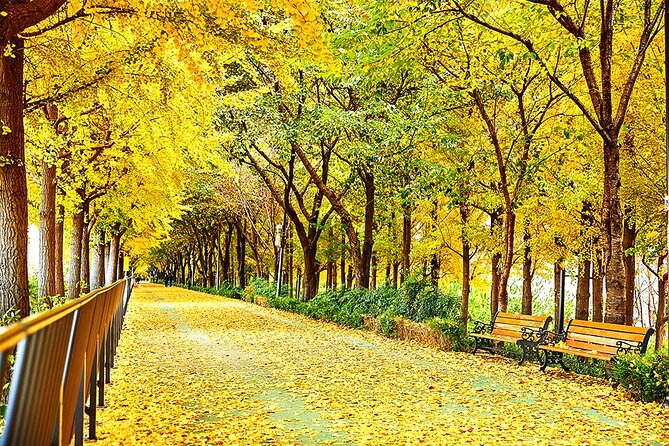 Full-Day Seoul Autumn Foliage Private Guided Tour