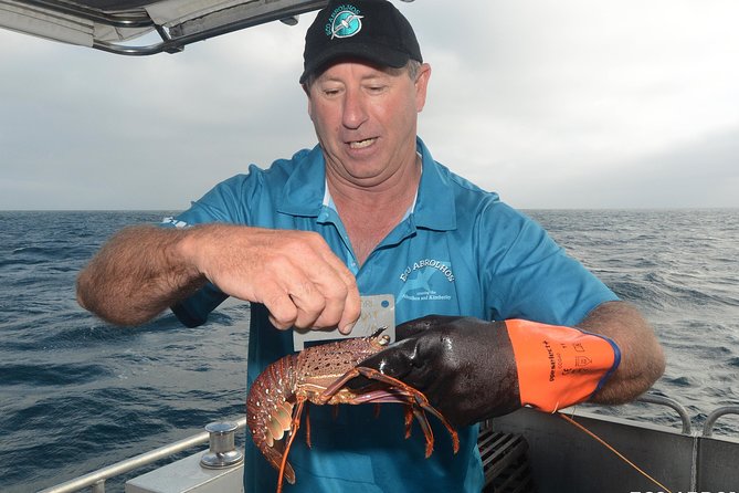 Geraldton Lobster Pot Pull