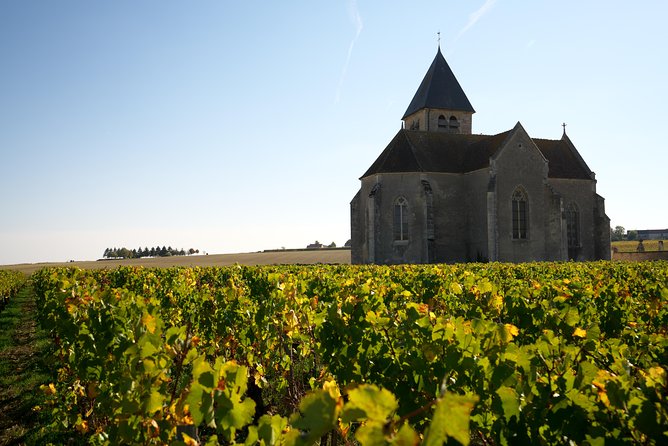 Getaway In The Vines From Gevrey Chambertin