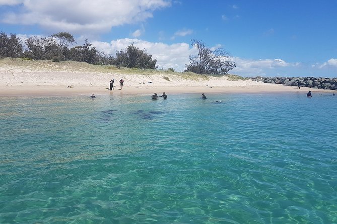 Gold Coast Try-Scuba Experience at Wave Break Island - Discover Scuba Diving Essentials