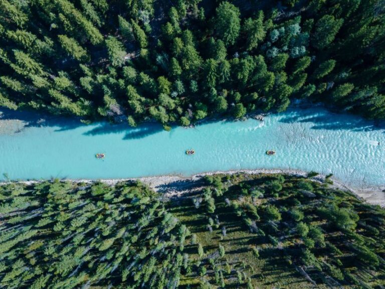 Golden, BC: Kicking Horse River Family Rafting With Lunch