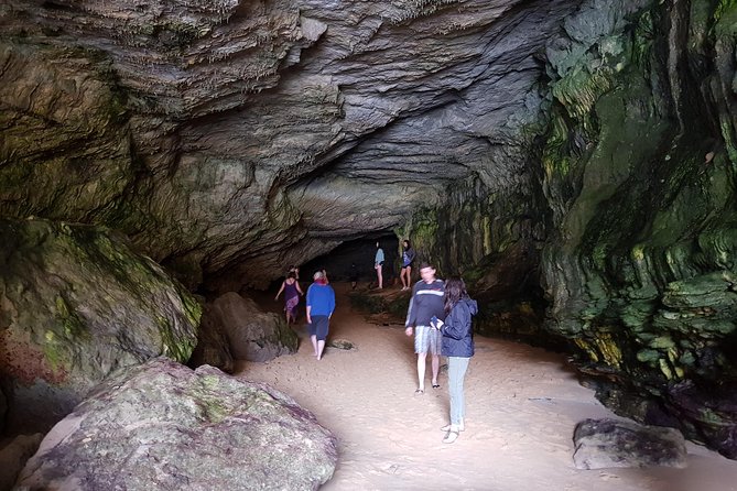 Great Ocean Road Full Day Private Experience - Expert Guides and Vehicles