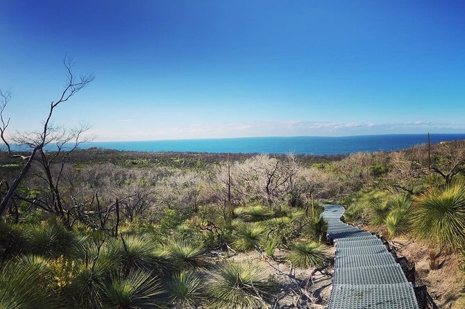 Guided Walk in North Head, Manly With Nature, History and Culture - Exploring North Heads Natural Beauty