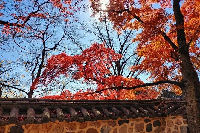 Gyeongju Full-Day Guided Tour From Seoul - Tour Overview and Highlights