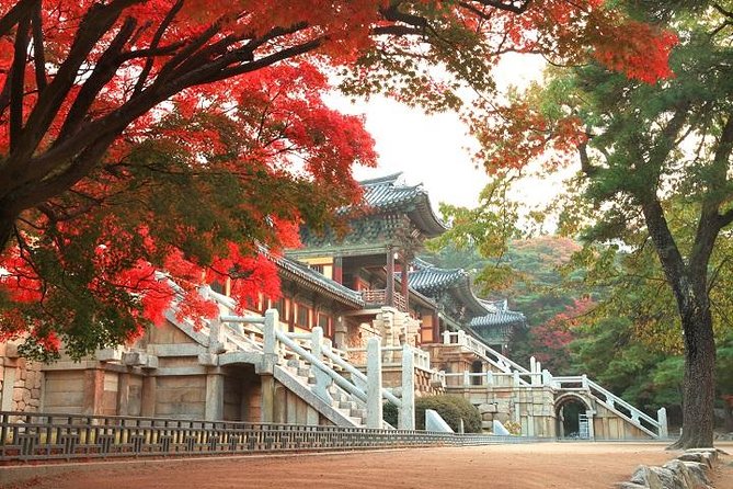 Gyeongju ONE-DAY Highlights for PRIVATE CRUISE PASSENGERS - Exploring UNESCO World Heritage Sites