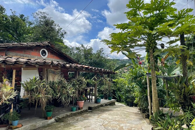 Half-Day Coffee Tour at Family Farm Close to Medellín