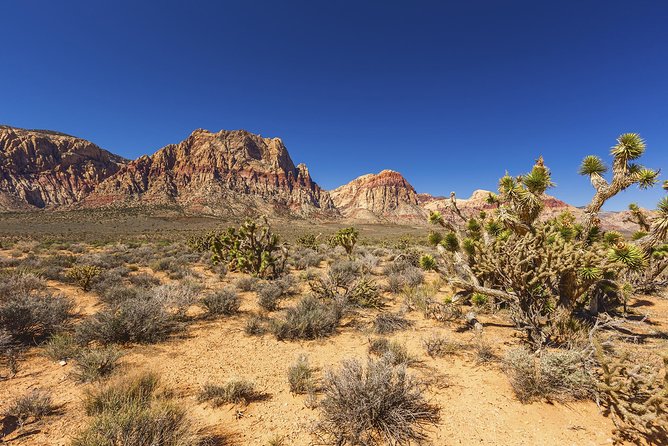 Half-Day Electric Bike Tour of Red Rock Canyon - Tour Overview