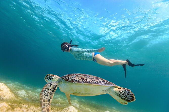 Half-Day Florida Keys Catamaran Snorkel Adventure