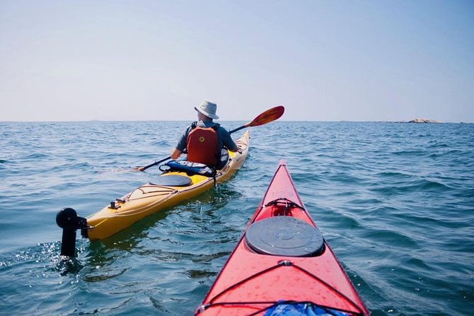 Half-Day Orleans Island Small-Group Sea Kayaking Tour