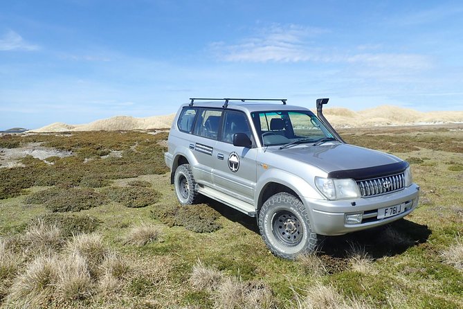 Half-Day Small-Group Penguin-Watching Tour, Falkland Islands - Tour Overview