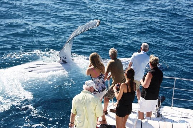 Half-Day Whale Watching Sunset Cruise From Broome - Tour Highlights and Features