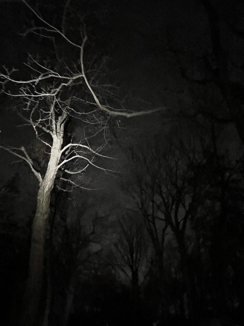 Haunted Mountain Ghost Walking Tour - Tour Details