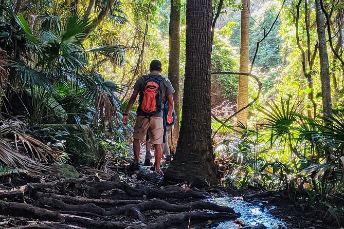 Hike to the Figure Eight Pools in the Royal National Park