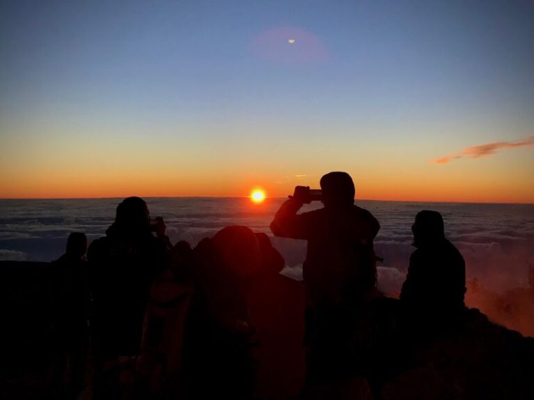 Hike Under Stars and Skywatching With Astronomer at Teide