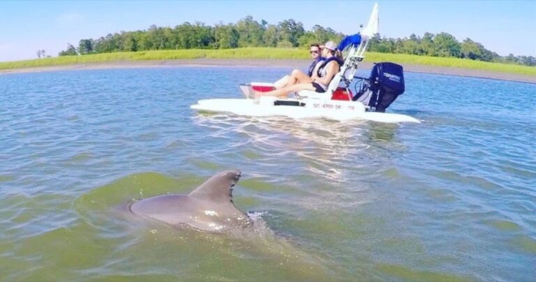 Hilton Head Island: 2-Hour Guided Creek Cat Tour