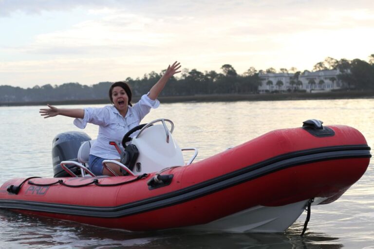 Hilton Head Island: Mini Boat Dolphin Tour