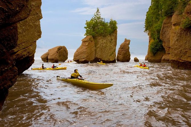 Hopewell Rocks Admission - Visitor Experience