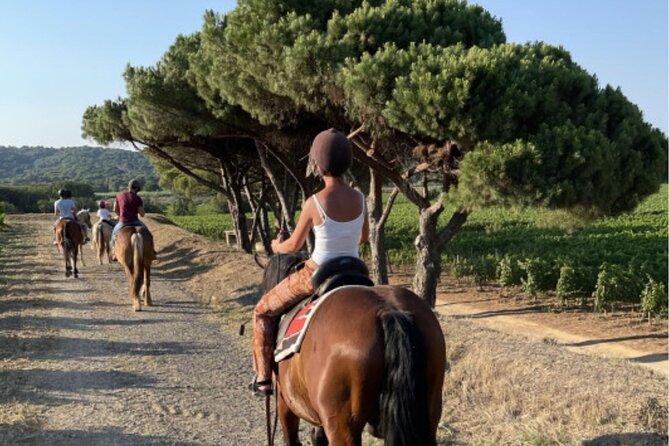 Horse Riding in the Vineyards of Ramatuelle Wine Tasting