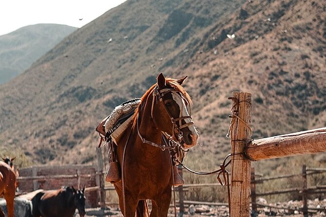 Horseback Riding at Sunset