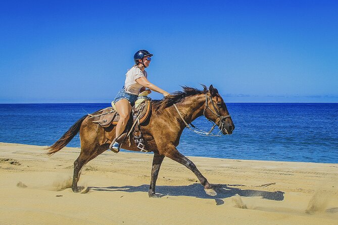 Horseback Riding Beach and Desert in Cabo by Cactus Tours Park - Tour Highlights