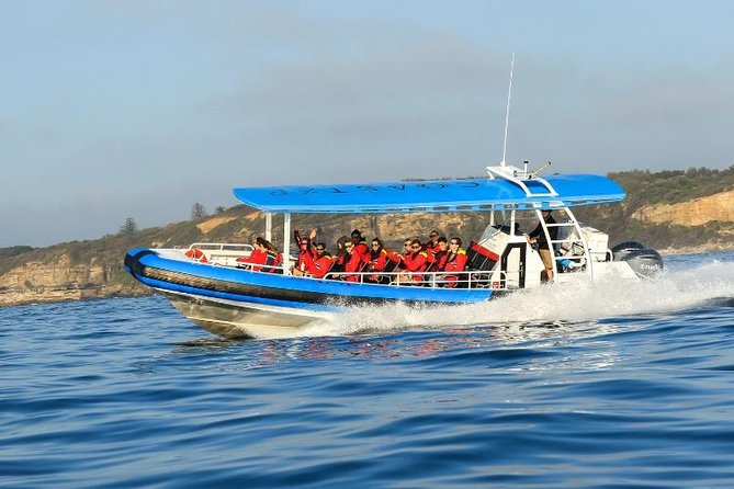 Hunter Coastal Adventure Tour by Boat From Newcastle