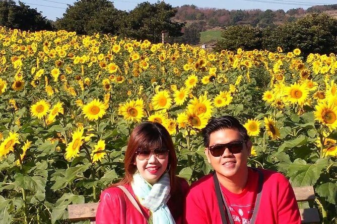 Jeju Private Tour Couple Package to All Area of Jeju Island