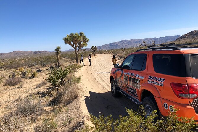 Joshua Tree National Park Offroad Tour - Tour Overview