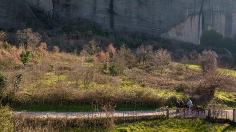 Kastraki: Meteora Donkey Ride