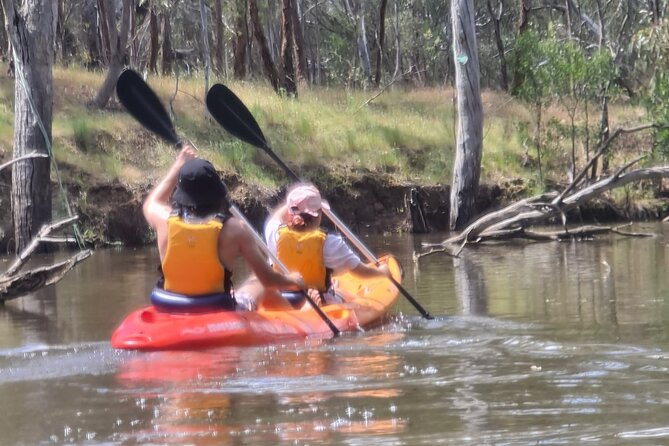 Kayak Self-Guided Tour on the Campaspe River Elmore, 30 Minutes From Bendigo - Self-Guided Kayak Tour Experience