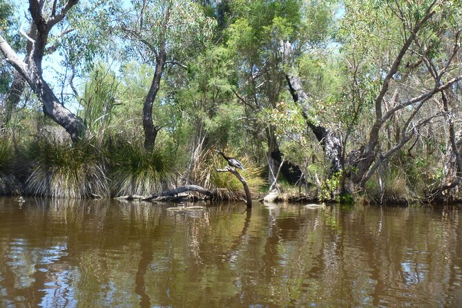 Kayak Tour on the Canning River - Exploring Canning Rivers Tranquility