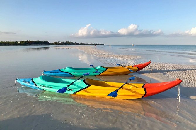 Kayaking Tour Through the Mangroves in Isla Holbox