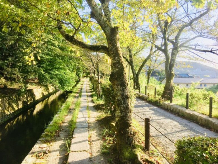 Kyoto: Private Guided Tour of Temples and Shrines