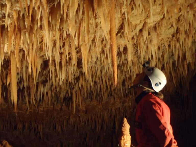 La Ciotat: Caving in Calanques National Park Half-Day Tour