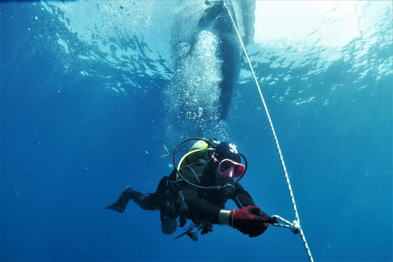 Las Palmas: 2-Day Padi Scuba Diving Course