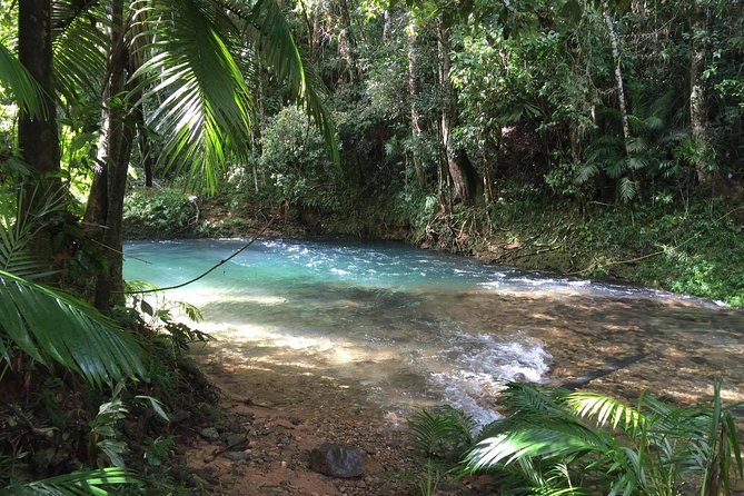 Luxury Daintree – Cape Tribulation Tour From Port Douglas