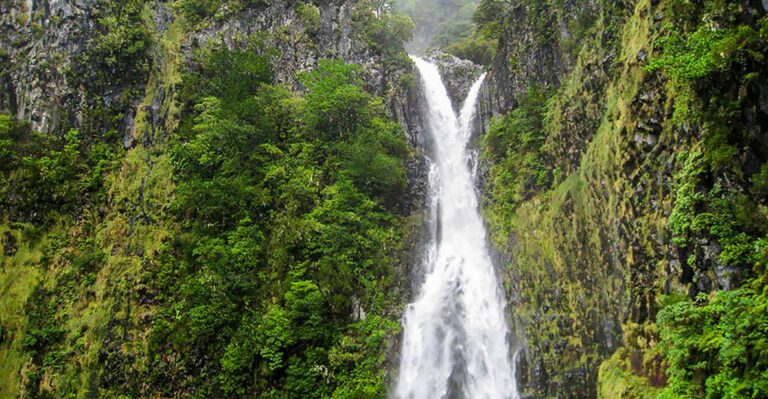 Madeira Day Trip: Levada Walk in the Rabaçal Valley