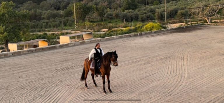 Mallorca: Mallorca`s Sunset & Spanish Riding School Show