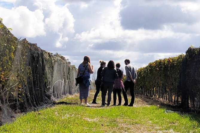 Margaret River Small-Group Full-Day Wine & Food Tour