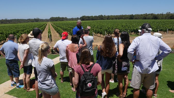 Margaret River Wine Tour: The Full Bottle - Wine Tour Highlights