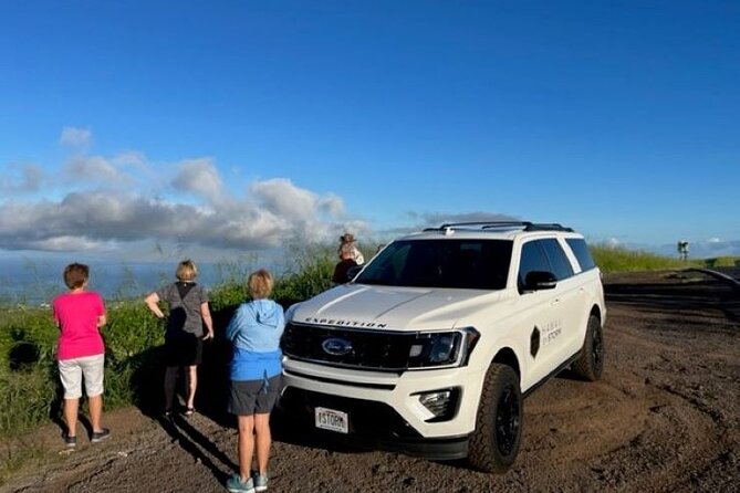 Maui by Storm: Epic Private Luxury Road to Hana Adventure Tour - Customer Reviews and Testimonials