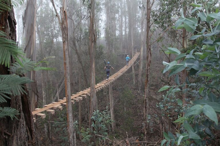 Maui: Haleakala 5-Line Zipline Adventure