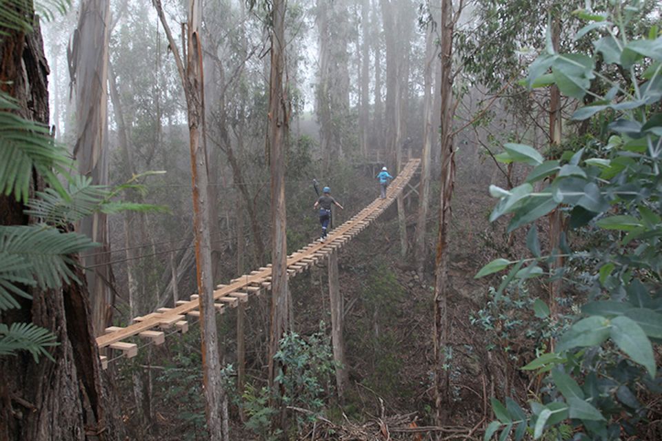 Maui: Haleakala 5-Line Zipline Adventure - Inclusions