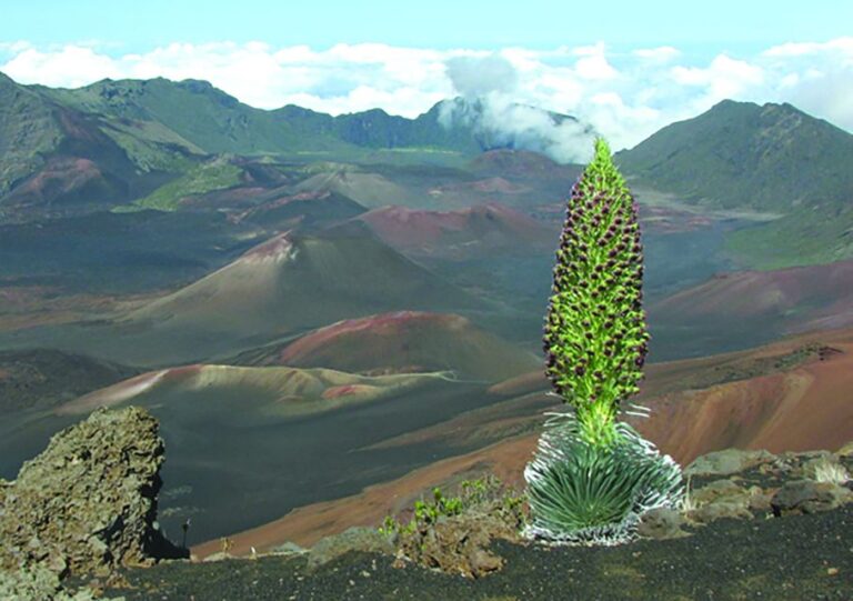 Maui: Haleakalā National Park Sunset Tour