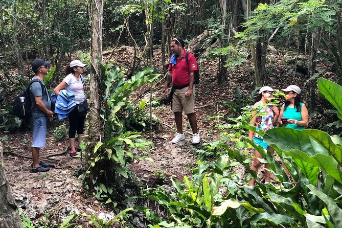 Mayan Jungle Jeep to Amber Caves, Natural Sinkhole and Snorkel