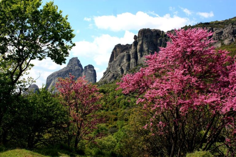 Meteora: Easy Hiking Adventure