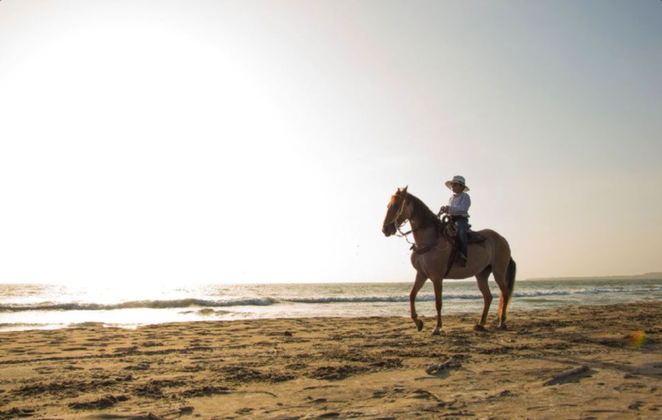 Miami: Beach Horse Ride & Nature Trail - Booking Information