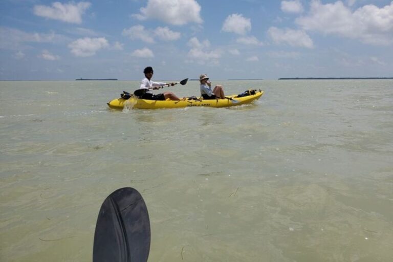 Miami: Everglades National Park Hiking and Kayaking Day Trip